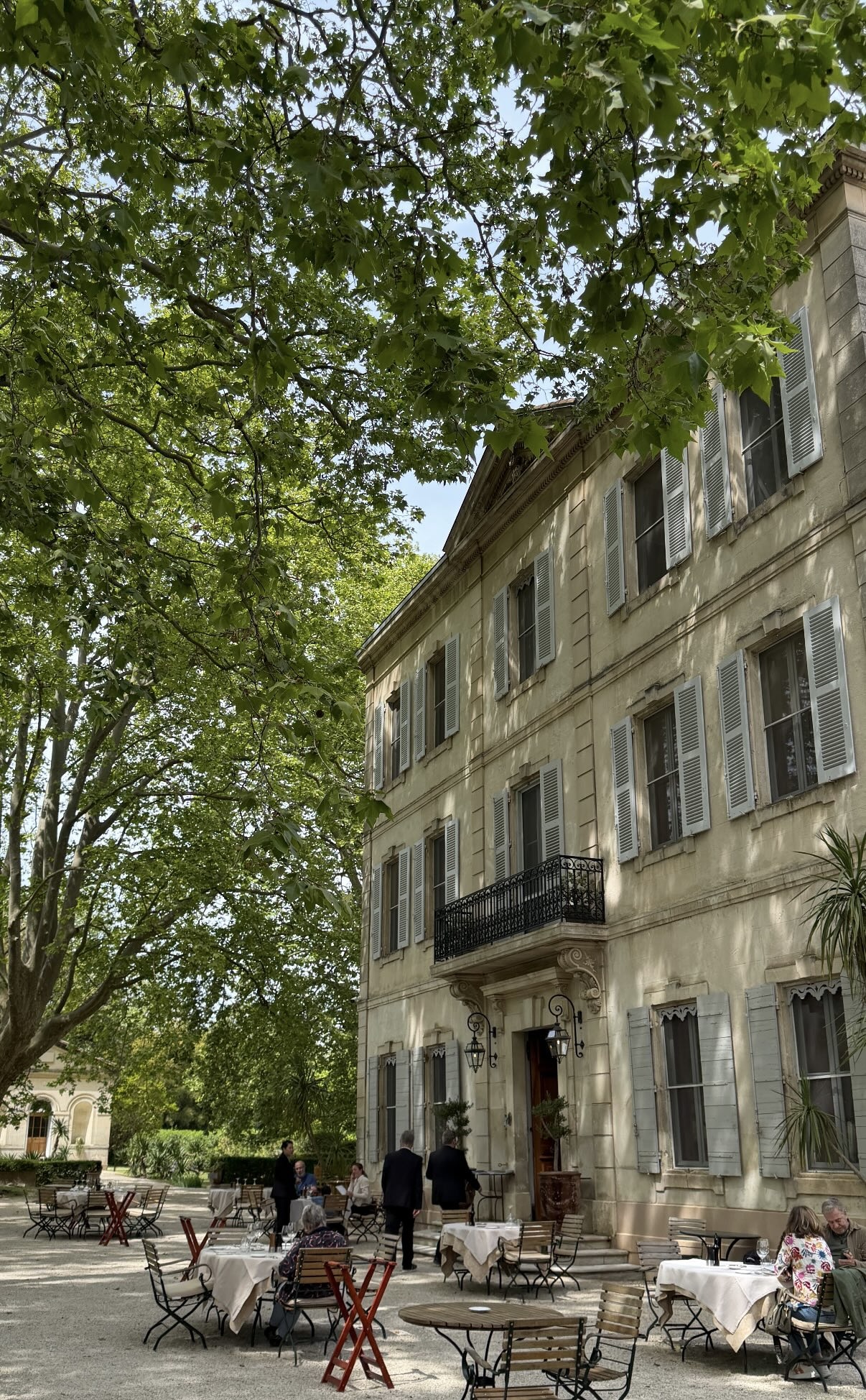 A Provençal mas under plane trees, the Alpilles